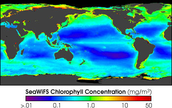 Map of Global Chlorophyll Concentration