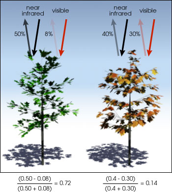 NDVI example