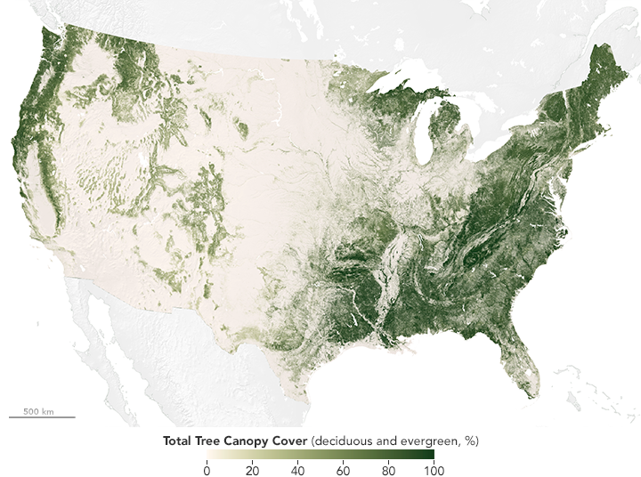 Map of forest canopies in the contiguous United States