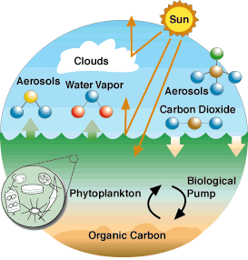 Chemical coupling with the atmosphere