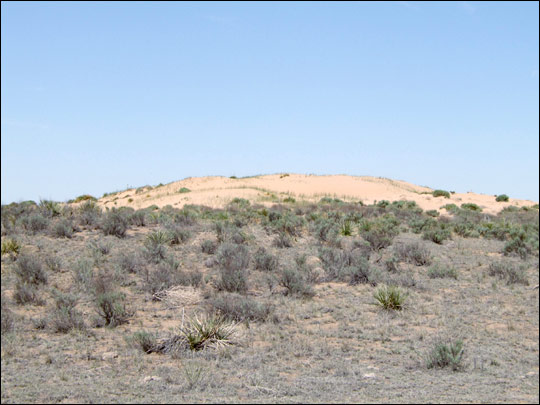 An extreme sand blow on dead buffalo (prairie) grass; Cimarron County, Oklahoma, June 2008.