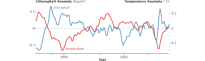 Graph showing the inverse relationship between temperature and chlorophyll concentration in the stratified oceans.