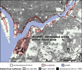 Map of impervious surfaces and floodplains along the Anacostia River