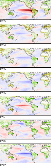 images of January SST and NDVI