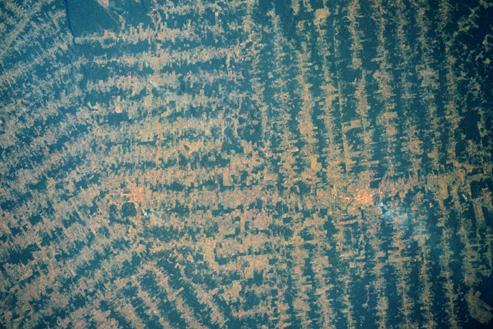 Astronaut photograph of herringbone-patterned deforestation in the Amazon.