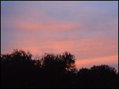 Photograph of Red Sunset