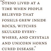 Steno lived at a time when people believed that fossils grew inside rocks, witches skulked everywhere, and crystals and unicorn horns cured disease.