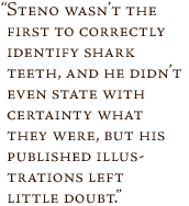 Steno wasn't the first to correctly identify shark teeth, and he didn't even state with certainty what they were, but his published illustrations left little doubt.