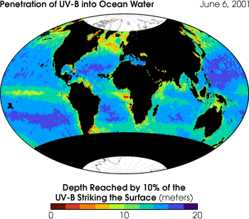 Map of UVB penetration in the
Ocean