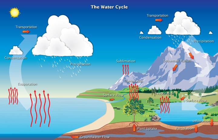 Illustration of the Water Cycle.