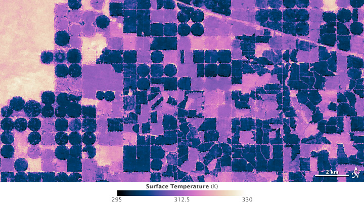 Map of surface temperature.