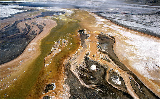 Photograph of colorful thermophiles in Yellowstone National Park