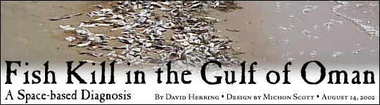 Fish Kill
in the Gulf of Oman by David Herring