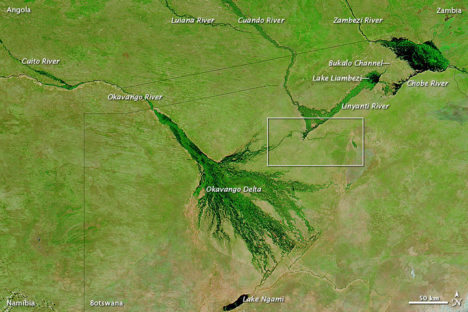 Okavango Delta region