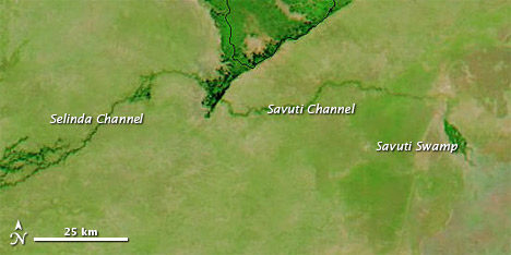 Selinda and Savuti Channels