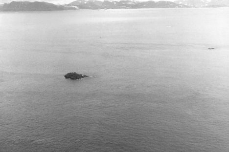 Aerial image of Landsat Island taken by David Gray on August 2, 1997.