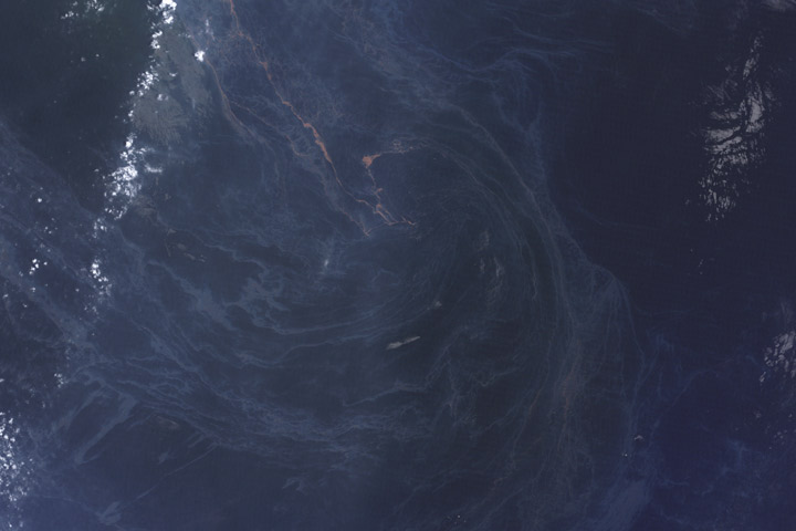 Oil spill in the Gulf of Mexico, May 25, 2010.