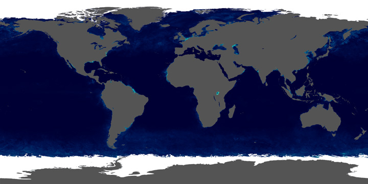 Chlorophyll, sea ice, and Antarctica