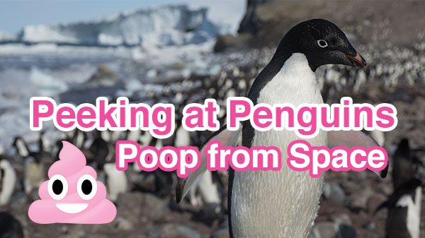 Peeking at Penguins: Poop from Space