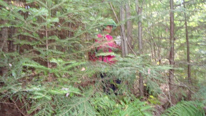 Dr. Wenge Ni-Meister in the Penobsot forest.  The forest is very biodiverse. In some areas the crew must literally push their way through the understory. Long sleeves help protect the arms in these conditions. 