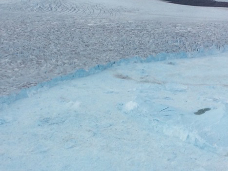 he end of the line: calving front of a tidewater glacier in western Greenland. As ice flows down from the Greenland ice cap to the sea, the surface darkens due to deposition of atmospheric pollutants and growth of algae. The picture shows the boundary where the moving glacier enters the ocean. Huge pieces of ice break off ("calving") the leading edge and drop into the water—the origin of icebergs. (Photo: Steve Wofsy) 