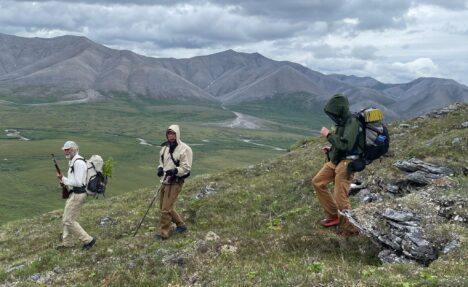 Notes from the Field - Unraveling the Mysteries of Arctic Greening and ...