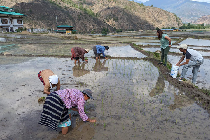 Aparna Phalke of SERVIR discussing rice farming practices with farmers in Paro.