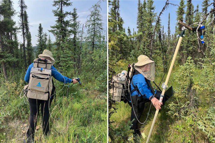 Scientist taking measurements in the forest