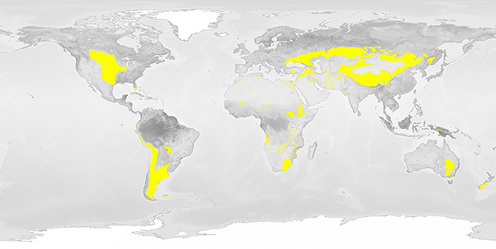 Mappa del bioma prateria